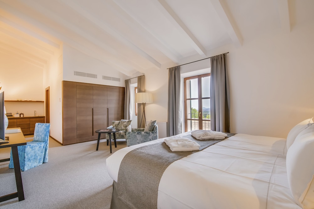 Deluxe Room photo 3