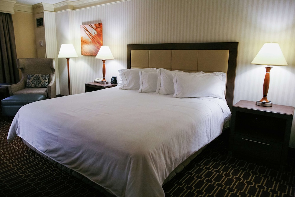 Suite, 1 King Bed, Accessible - Photo 1
