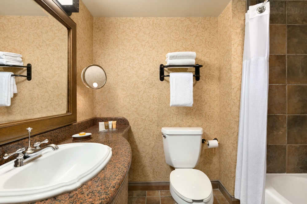 Lakefront Ambassador King suite - Photo 10