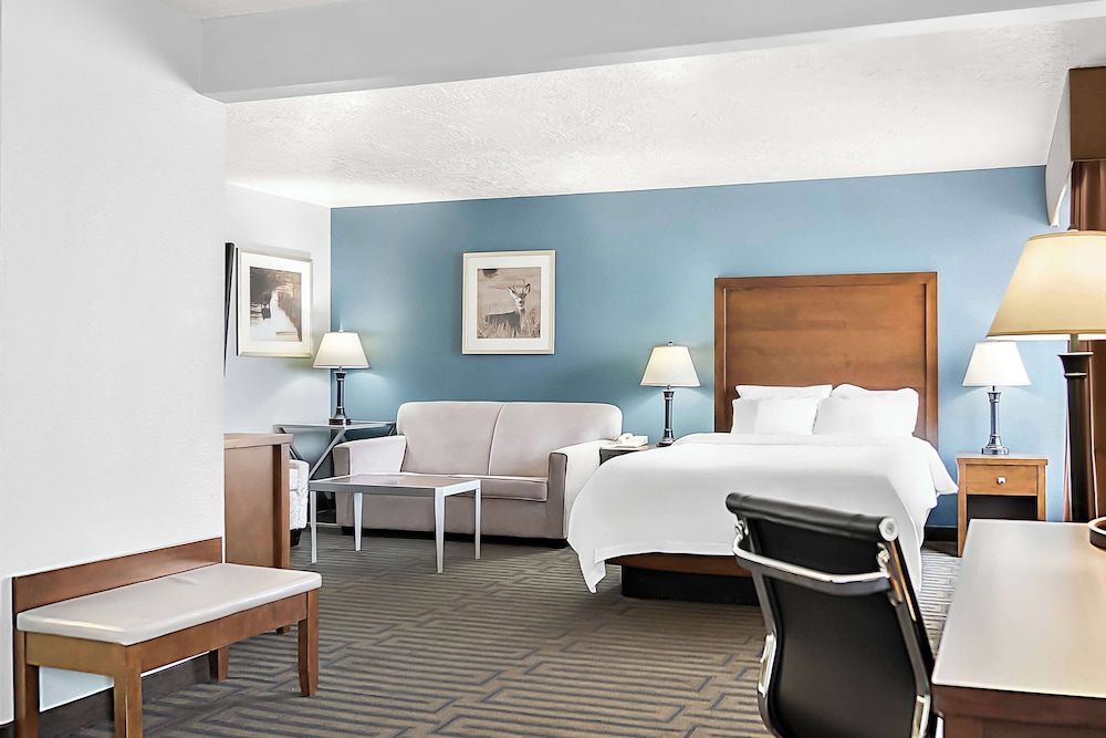 Suite, 1 Queen Bed, Accessible, Non Smoking (with Sofabed) photo 2