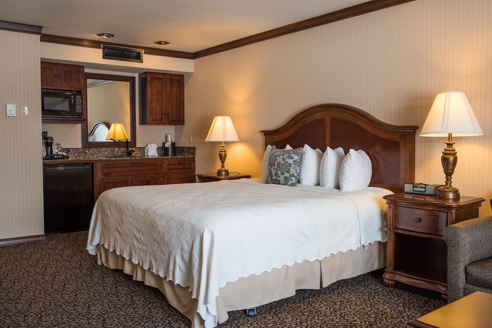 Standard Room, 1 King Bed, Kitchenette, Lake View (with Sofabed)