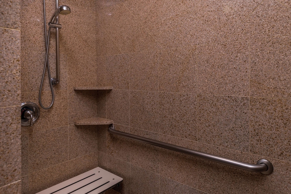 Room, 1 King Bed, Accessible (Roll-in Shower) - Photo 5