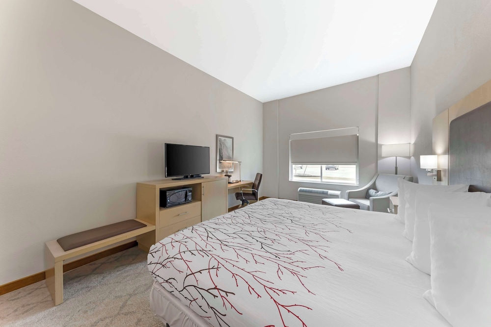 Standard Room, 1 King Bed, Accessible, Refrigerator & Microwave - Photo 2