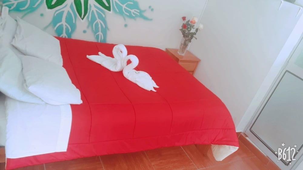 Basic Double or Twin Room