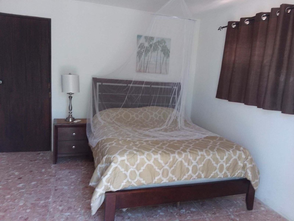 Studio, 1 Queen Bed, Terrace photo 1