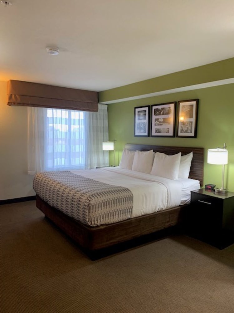 Standard Room, 1 Queen Bed, Accessible, Refrigerator & Microwave - Photo 5