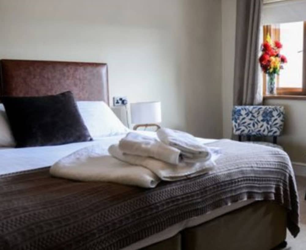 Pennard, All dog friendly