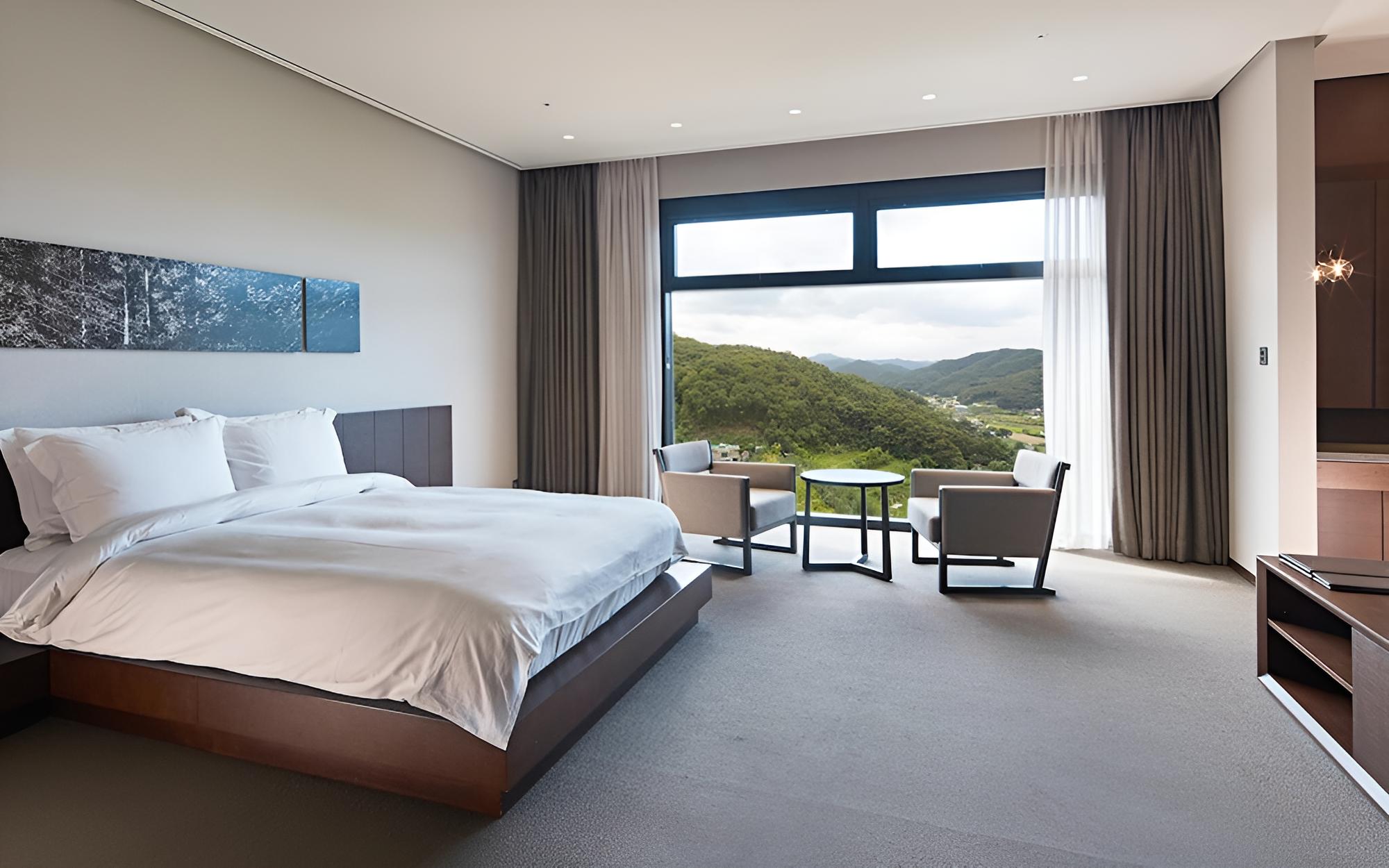 Room (Premier Double (Mountain View))