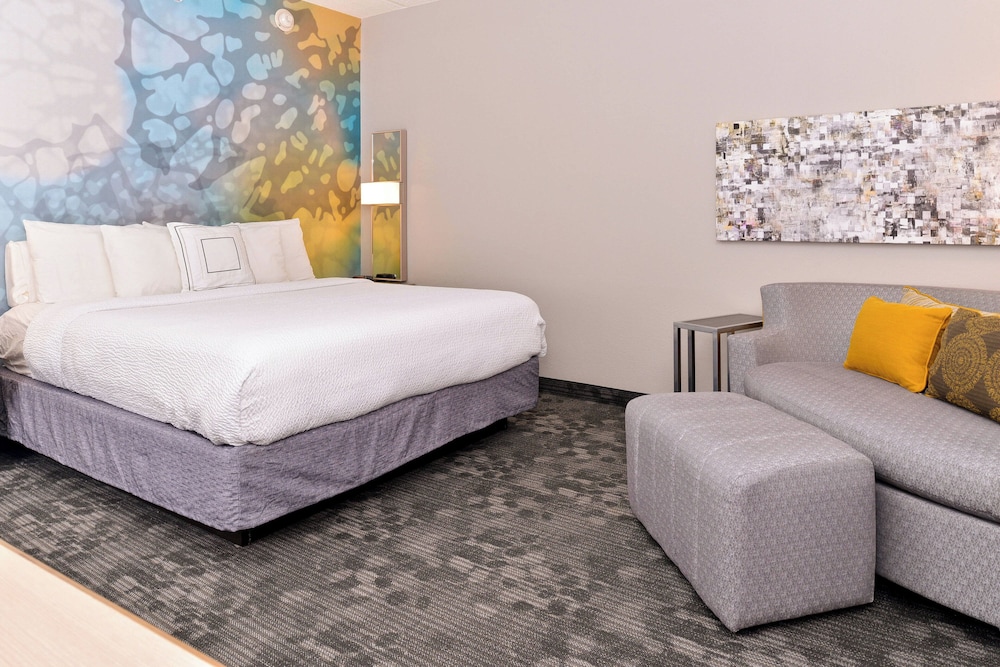 Room, 1 King Bed with Sofa bed photo 1