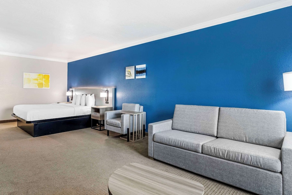 Executive Suite, 1 King Bed, Non Smoking (/W Sofa Bed) photo 3