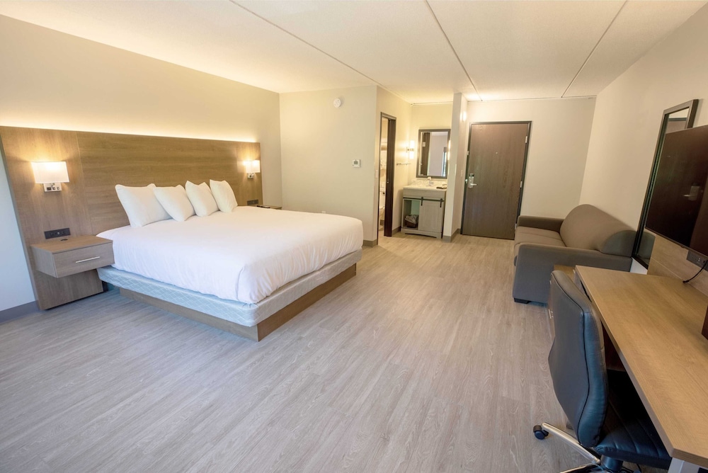 Family Single Room, 1 King Bed with Sofa bed, Non Smoking