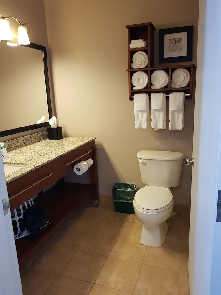 Suite, 1 Queen Bed - Photo 4