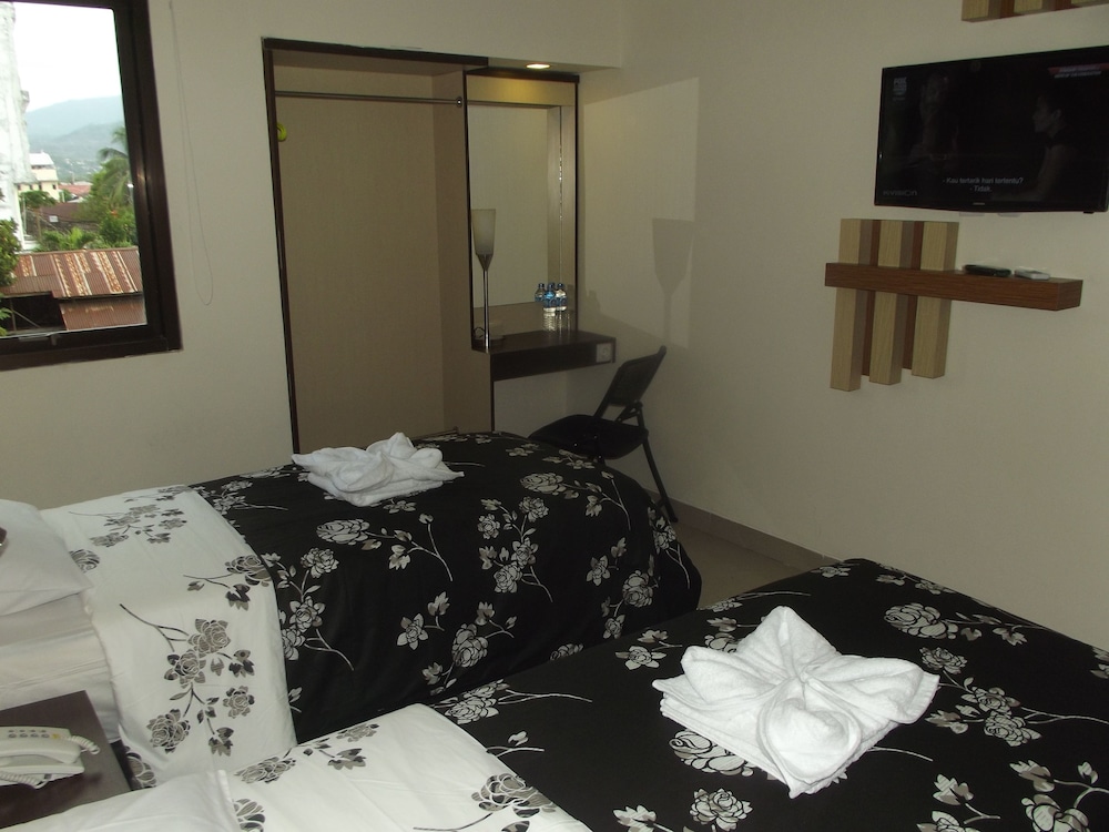 Deluxe Double or Twin Room photo 2