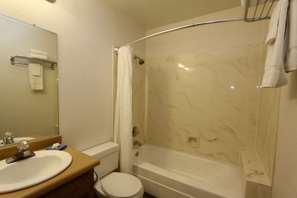 Deluxe Suite photo 1