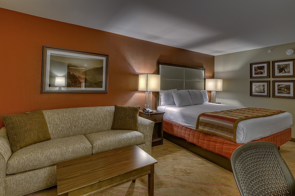 Executive Room, 1 King Bed, Non Smoking - Photo 3