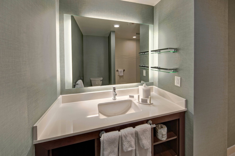Suite, 1 King Bed with Sofa bed (Hearing Accessible) photo 3