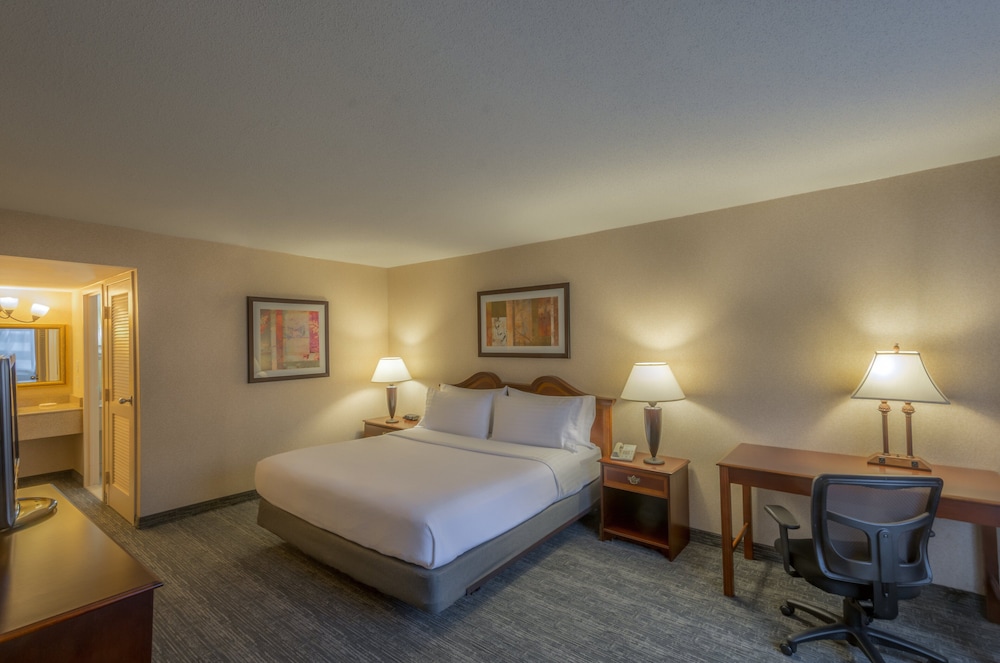 Suite, 1 King Bed with Sofa bed photo 2