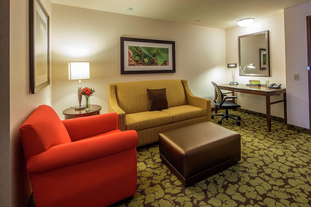 Suite, 1 King Bed, Non Smoking photo 2