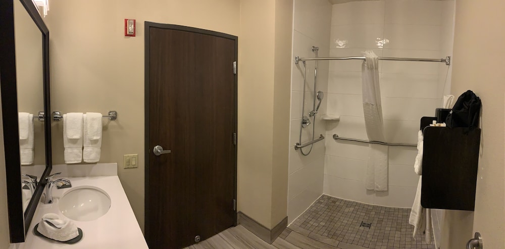 Room, 1 King Bed, Accessible, Park View (Mobility Accessible)