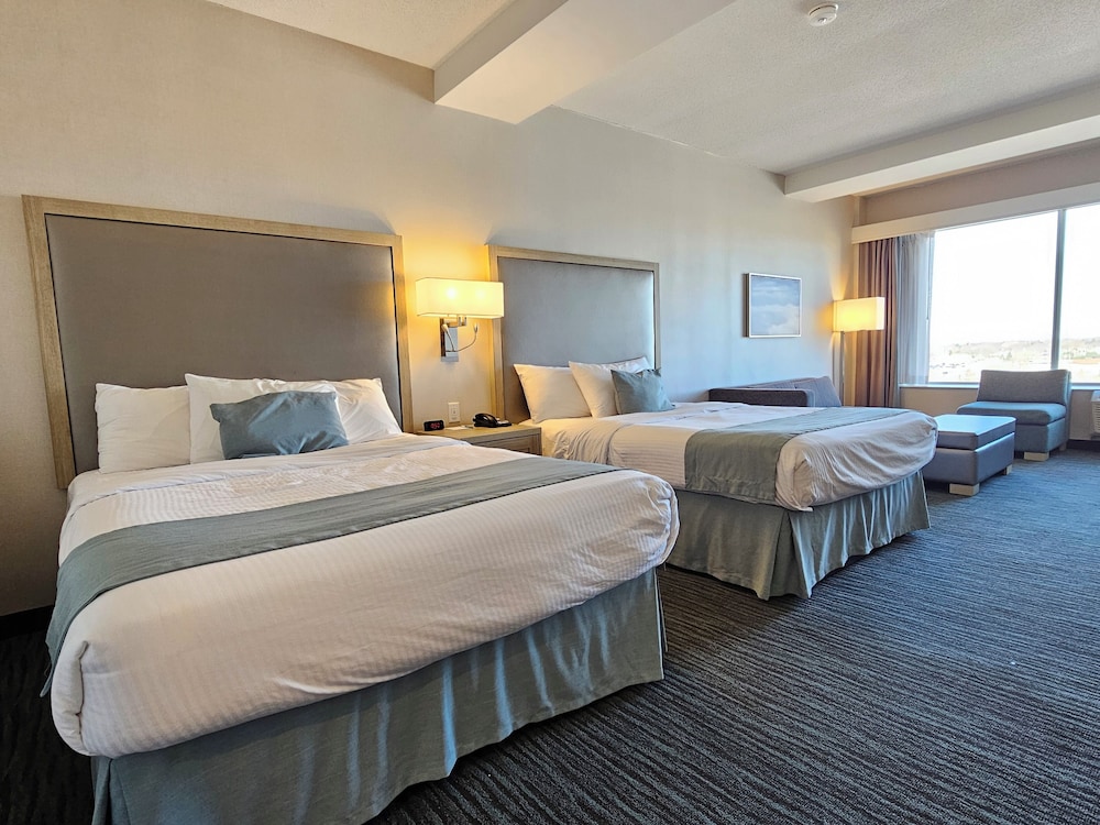 Cityview Jr Suite, 2 Queen beds & Sofa bed photo 1