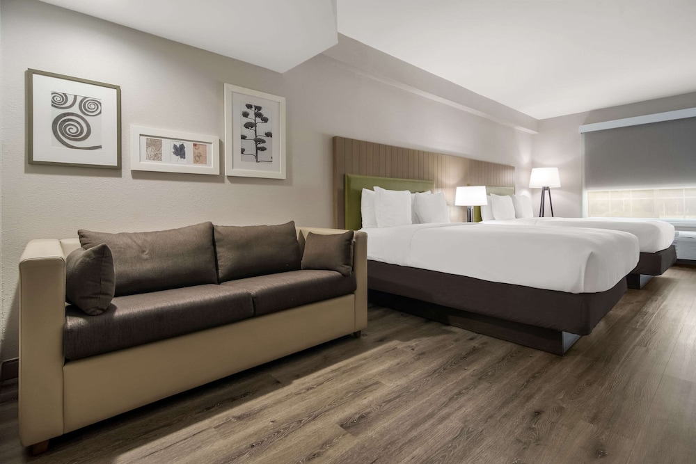 Studio Suite, Multiple Beds, Non Smoking - Photo 3