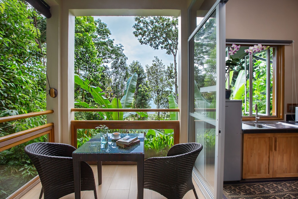 Rainforest Studio - Photo 5