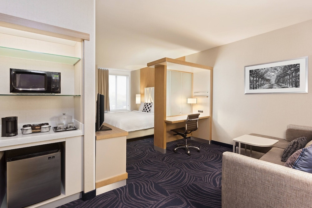 Suite, 1 King Bed, Pool View