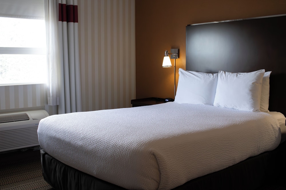 Premium Room, 1 Queen Bed, Kitchen