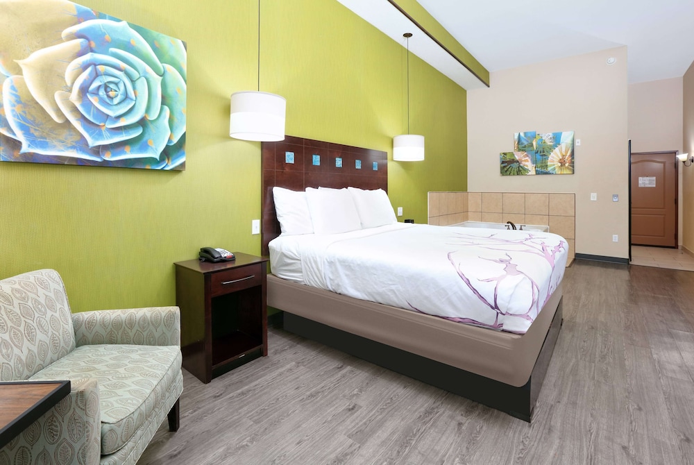 Room, 1 King Bed, Non Smoking, Jetted Tub - Photo 9