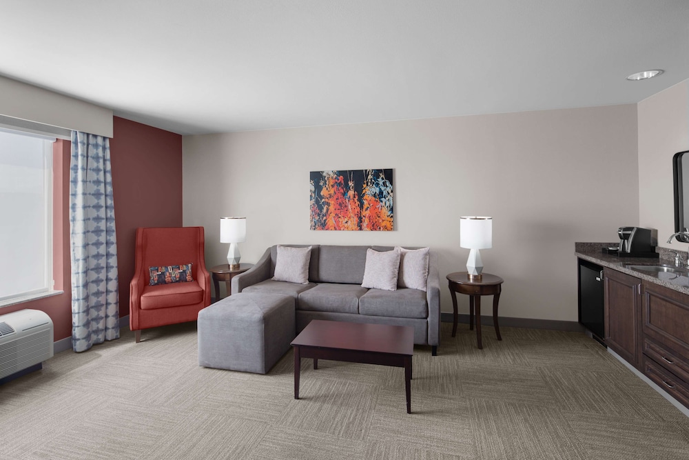 Suite, 1 King Bed, Accessible - Photo 4
