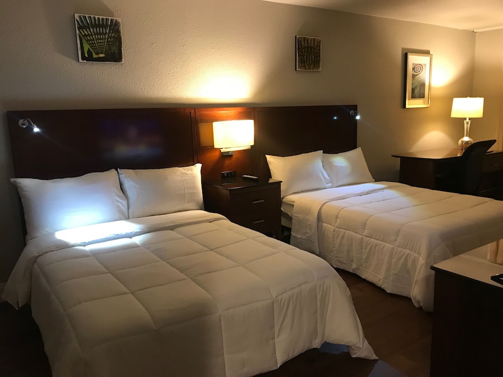 Luxury Suite, 2 Double Beds, Refrigerator & Microwave photo 2