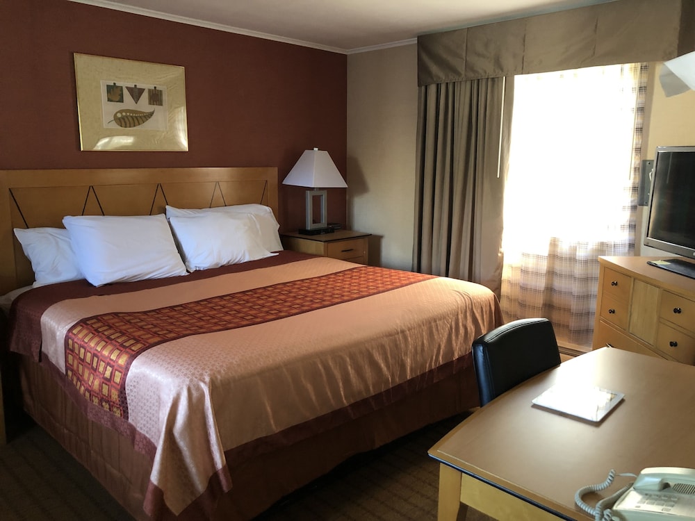 Standard Room, 1 King Bed, Non Smoking, Jetted Tub photo 1