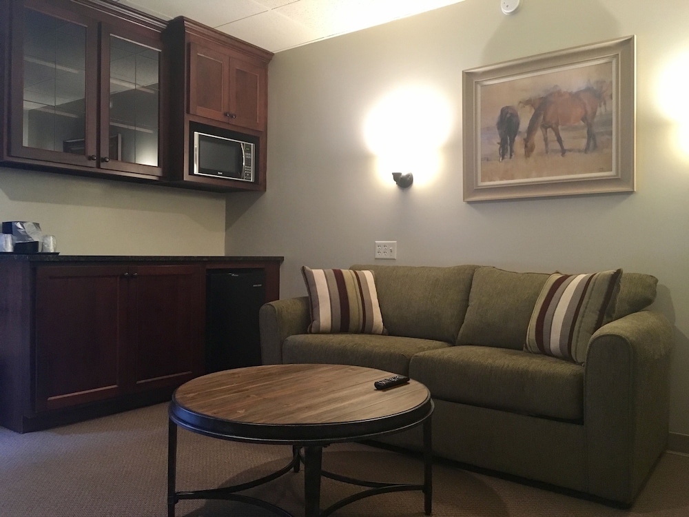 Standard Suite, 1 King Bed with Sofa bed, Non Smoking photo 3