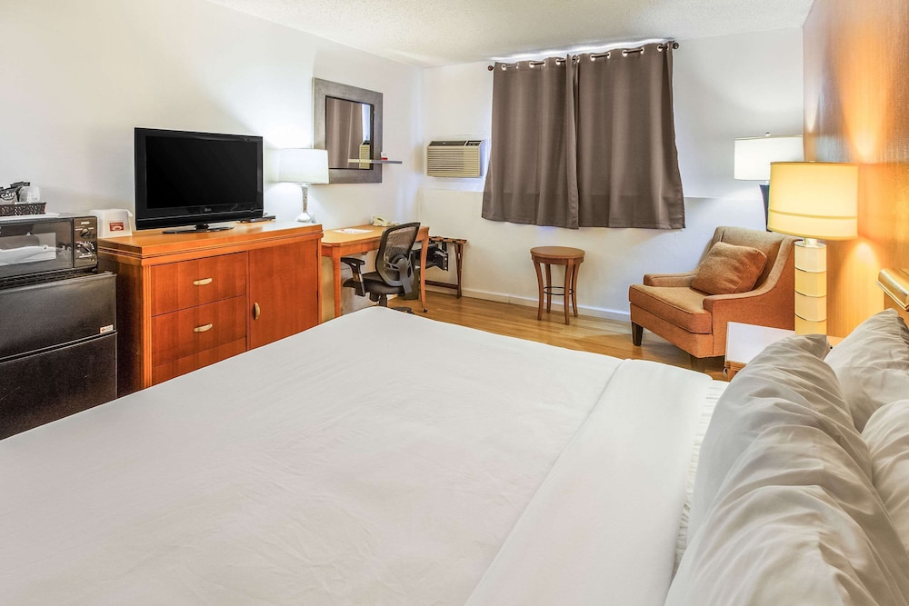 Economy Room, 1 King Bed, Non Smoking photo 2