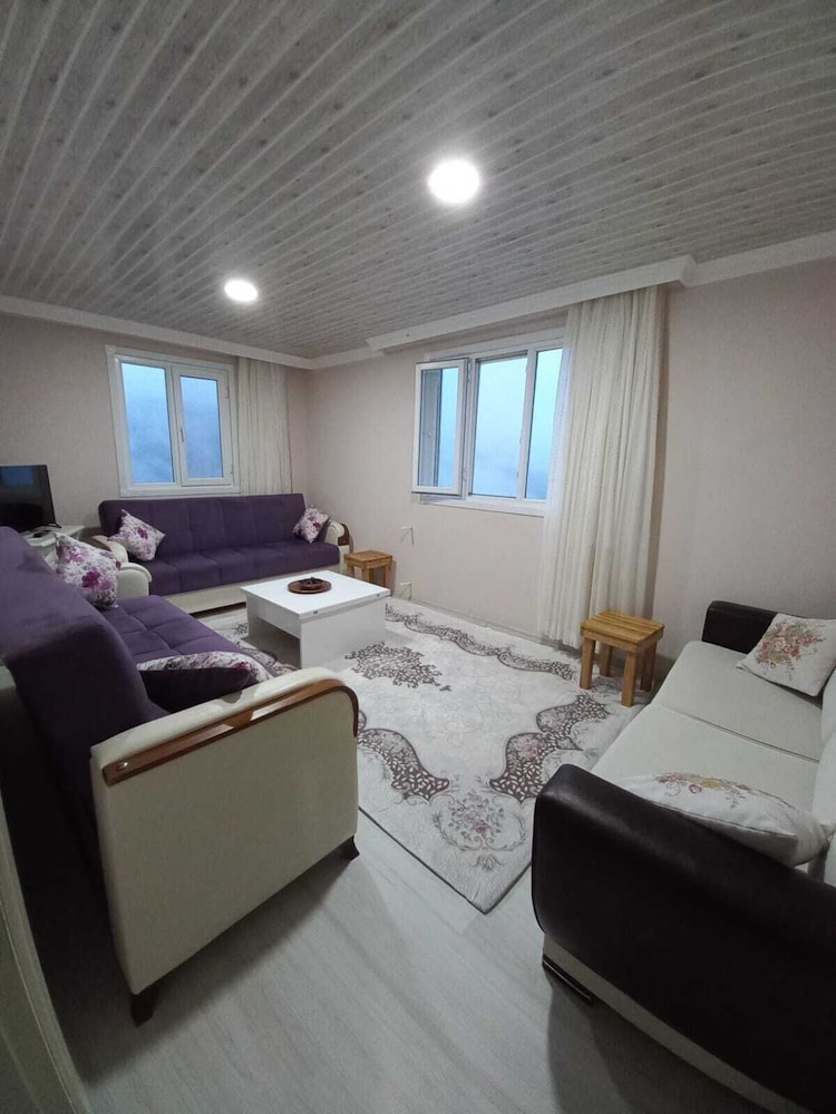 Basic Apartment