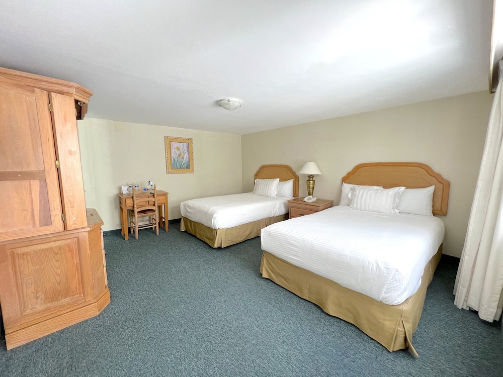 Standard Double Room, 2 Double Beds photo 2