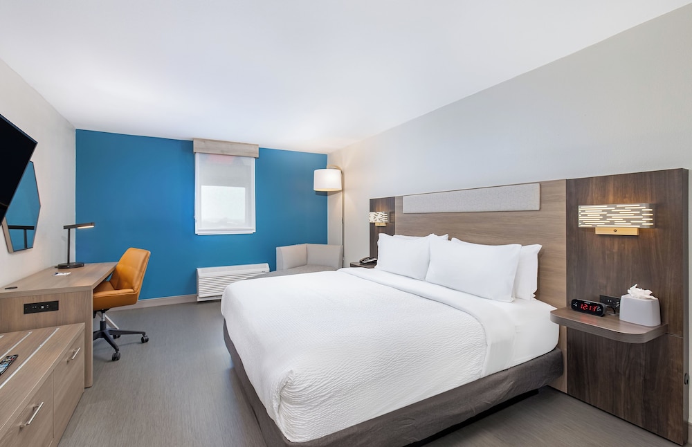 Suite, 1 Bedroom - Photo 4