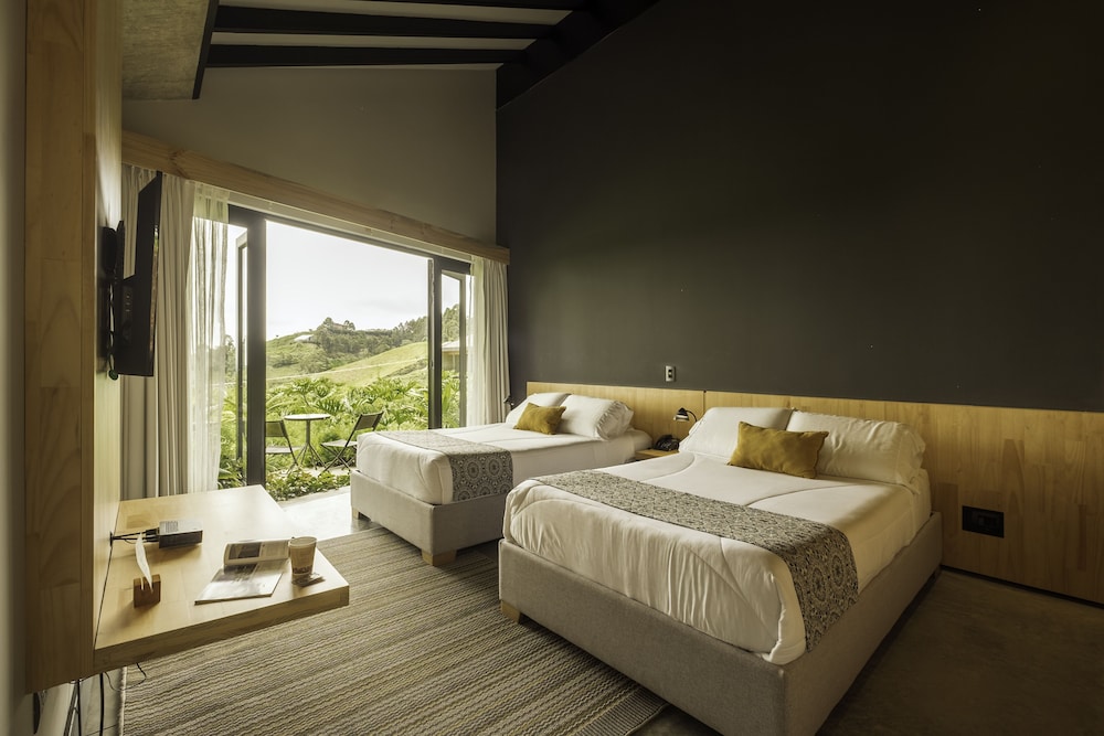 Standard Room, Mountain View photo 1