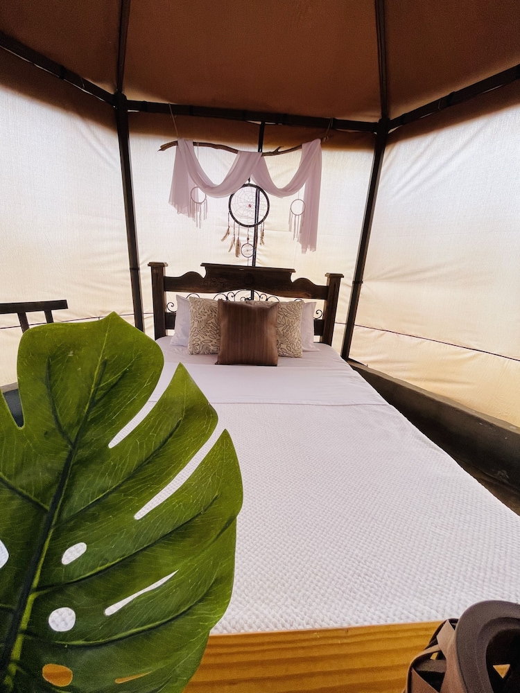 Standard Tent, Accessible photo 2