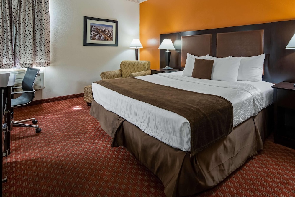 Room, 1 King Bed, Non Smoking
