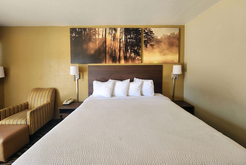 Studio Suite, 1 King Bed, Non Smoking - Photo 6