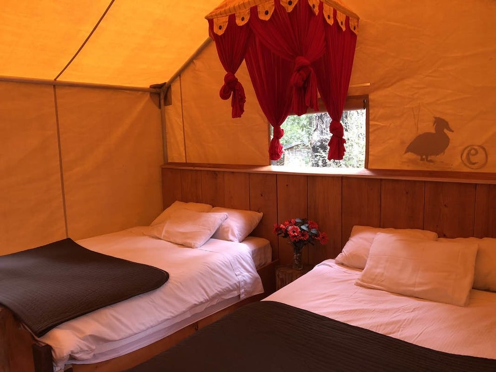 Family Tent, 2 Double Beds, Balcony photo 1