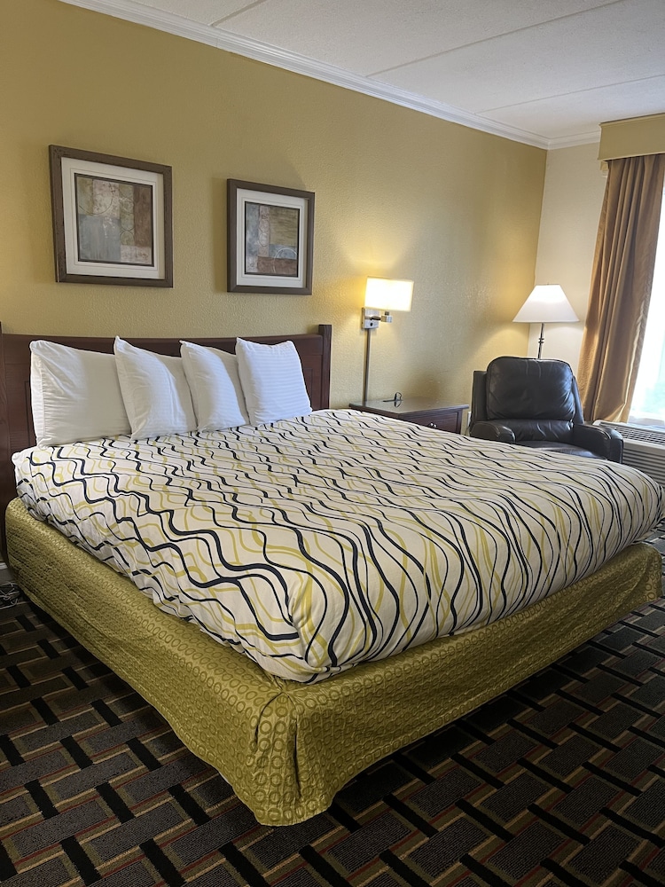 Single King Room photo 1