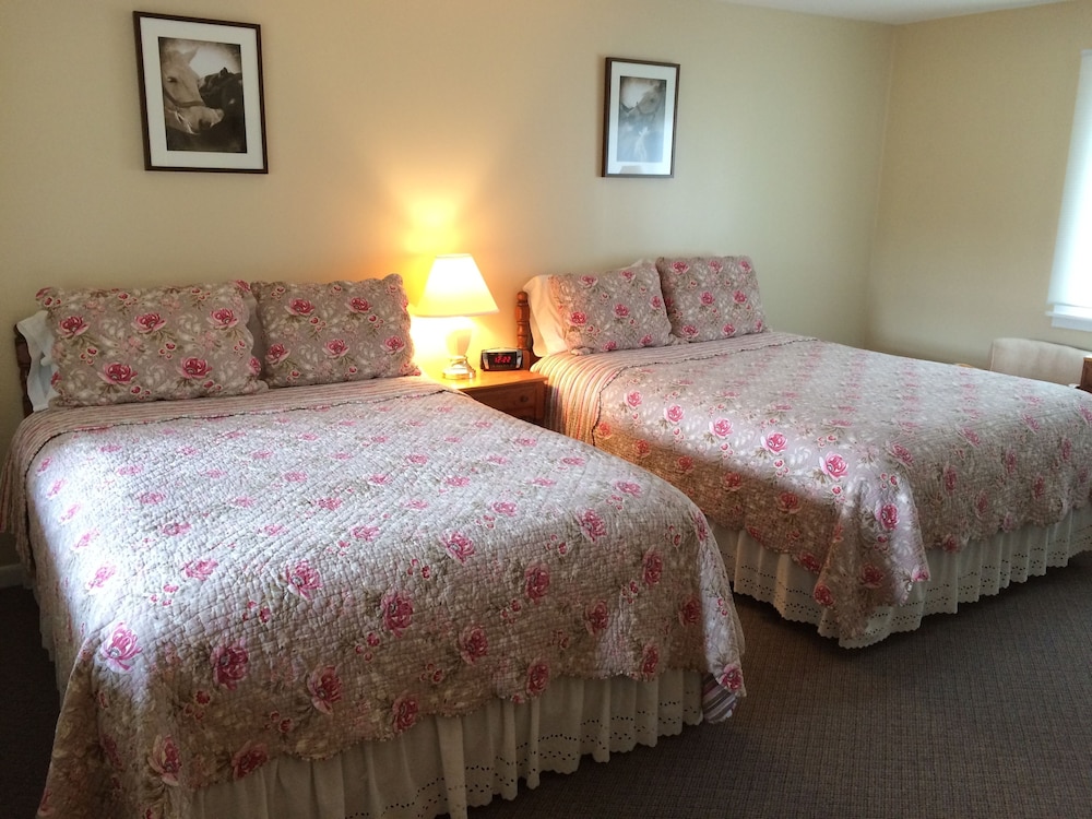 Quadruple Room, 2 Queen Beds, Mountain View photo 1