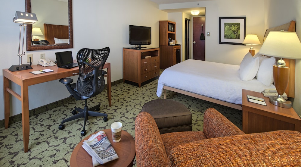 One king bed evolution room photo 2