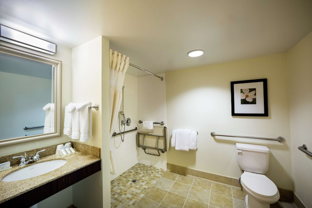 Room, 1 King Bed, Accessible Shower - Photo 1