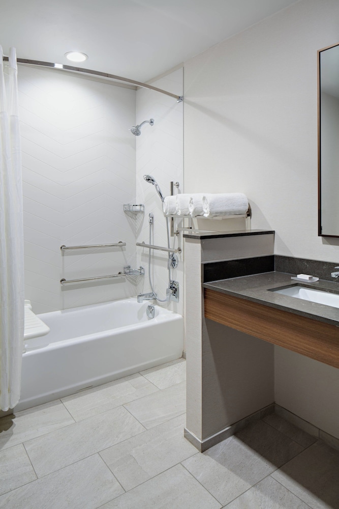 Room, 1 King Bed (Mobility/Hearing Access, Roll-In Shwr) - Photo 4