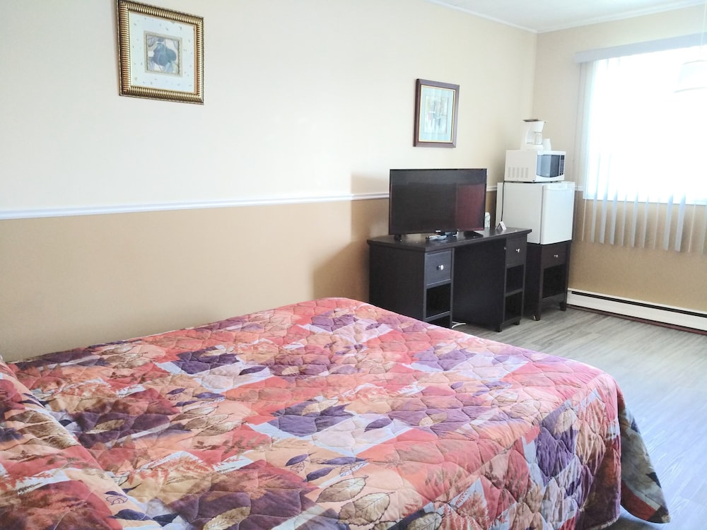 City Double Room photo 1