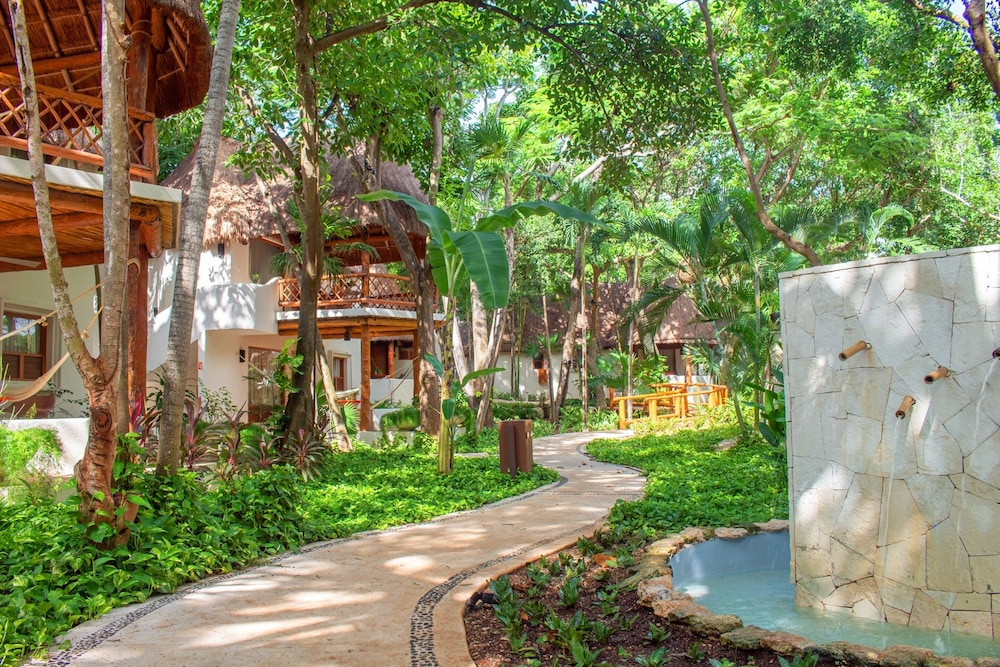 The Oasis Palapa