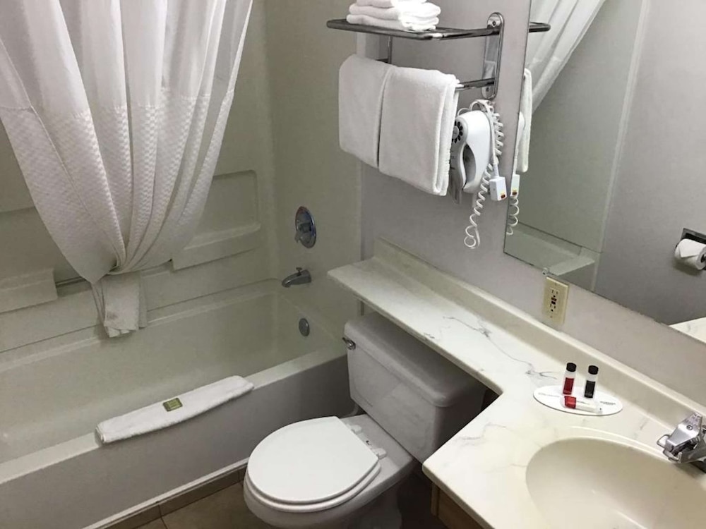 Suite, 1 King Bed, Non Smoking, Refrigerator & Microwave (with Sofabed) - Photo 2